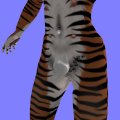 Snapshot_328