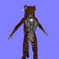 Snapshot_331