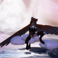 Snapshot_062