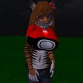 Snapshot_203