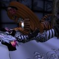 Snapshot_222