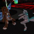 Snapshot_246