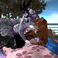 Snapshot_255