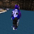 Snapshot_275