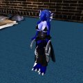 Snapshot_280