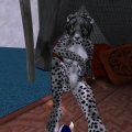 Snapshot_282