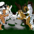 1341026221.accelo_byakko
