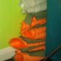 IMAG0391