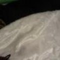 the-fur