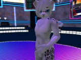 Snapshot_205