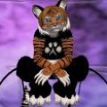 Snapshot_065