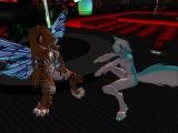 Snapshot_246