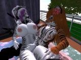 Snapshot_254