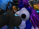 Snapshot_272