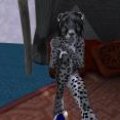 Snapshot_284
