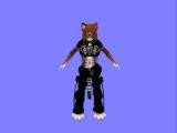 Snapshot_321